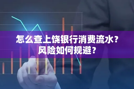 怎么查上饶银行消费流水?风险如何规避?