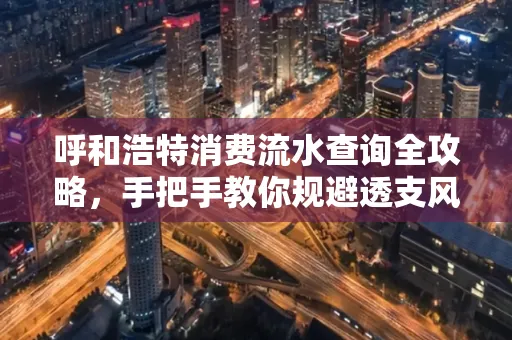 呼和浩特消费流水查询全攻略,手把手教你规避透支风险
