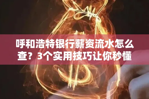 呼和浩特银行薪资流水怎么查？3个实用技巧让你秒懂