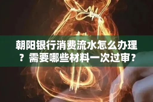 朝阳银行消费流水怎么办理？需要哪些材料一次过审？