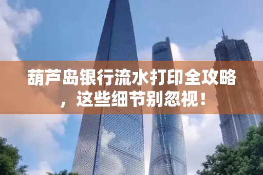 葫芦岛银行流水打印全攻略,这些细节别忽视!