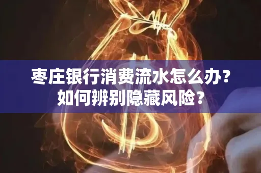 枣庄银行消费流水怎么办?如何辨别隐藏风险?