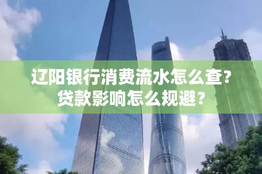 辽阳银行消费流水怎么查?贷款影响怎么规避?
