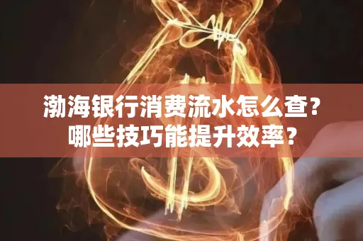 渤海银行消费流水怎么查?哪些技巧能提升效率?