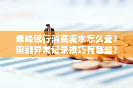 赤峰银行消费流水怎么查?辨别异常记录技巧有哪些?