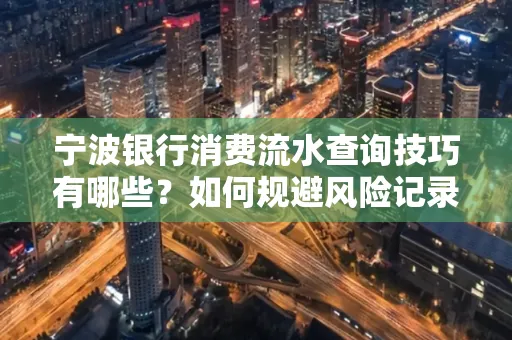 宁波银行消费流水查询技巧有哪些?如何规避风险记录?