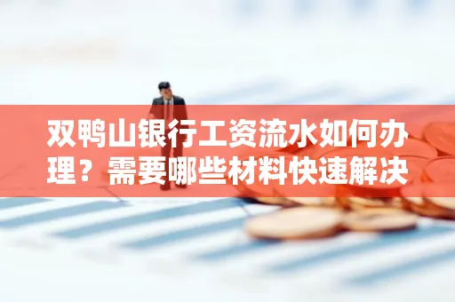 双鸭山银行工资流水如何办理?需要哪些材料快速解决