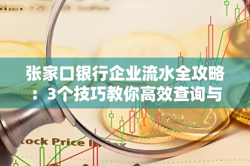 张家口银行企业流水全攻略:3个技巧教你高效查询与风险规避