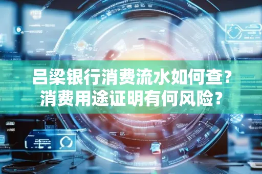 吕梁银行消费流水如何查?消费用途证明有何风险?