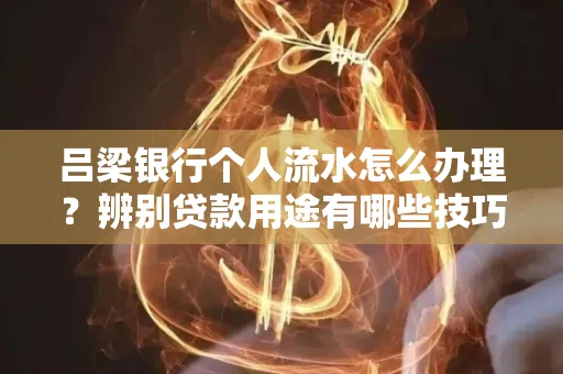 吕梁银行个人流水怎么办理?辨别贷款用途有哪些技巧?