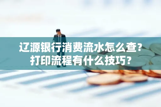 辽源银行消费流水怎么查?打印流程有什么技巧?