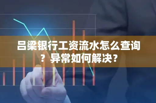 吕梁银行工资流水怎么查询?异常如何解决?