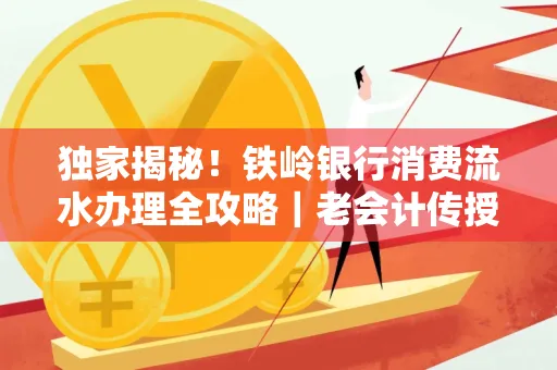 独家揭秘!铁岭银行消费流水办理全攻略|老会计传授防诈技巧