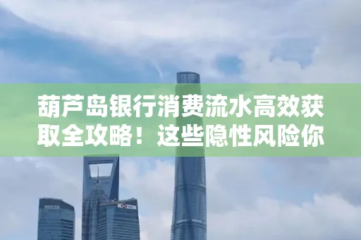 葫芦岛银行消费流水高效获取全攻略!这些隐性风险你必须知道
