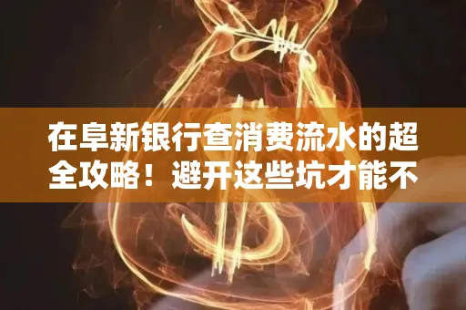 在阜新银行查消费流水的超全攻略!避开这些坑才能不踩雷