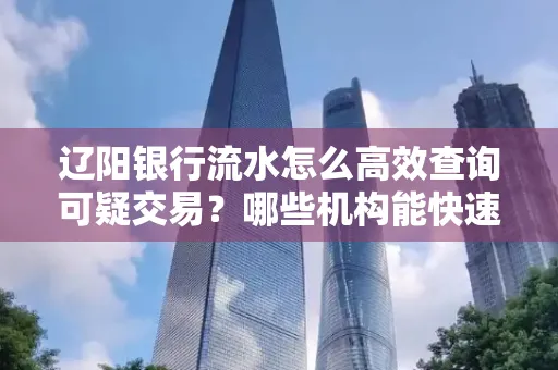 辽阳银行流水怎么高效查询可疑交易?哪些机构能快速分析账单风险?