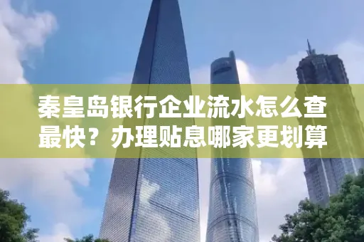 秦皇岛银行企业流水怎么查最快?办理贴息哪家更划算?