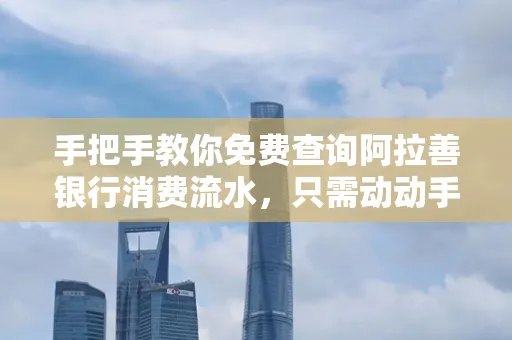 手把手教你免费查询阿拉善银行消费流水,只需动动手指就能完成