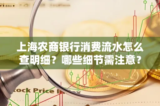 上海农商银行消费流水怎么查明细?哪些细节需注意?