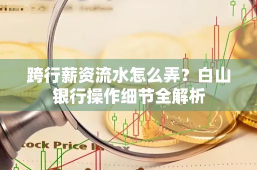 跨行薪资流水怎么弄?白山银行操作细节全解析