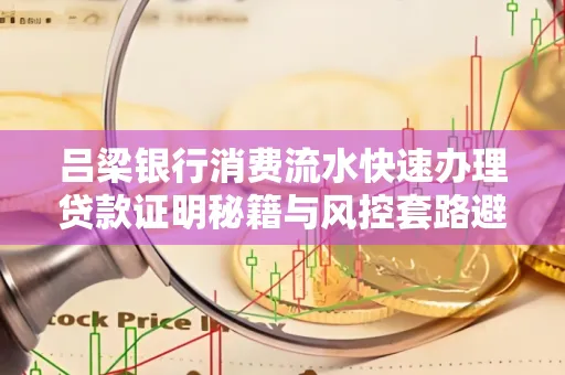 吕梁银行消费流水快速办理贷款证明秘籍与风控套路避坑指南