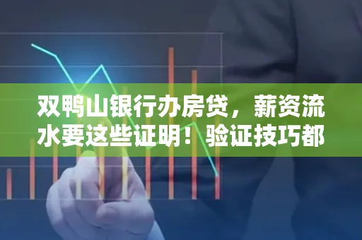 双鸭山银行办房贷,薪资流水要这些证明!验证技巧都在这里!