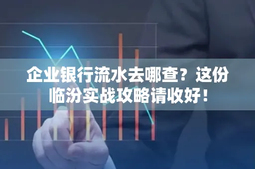 企业银行流水去哪查?这份临汾实战攻略请收好!