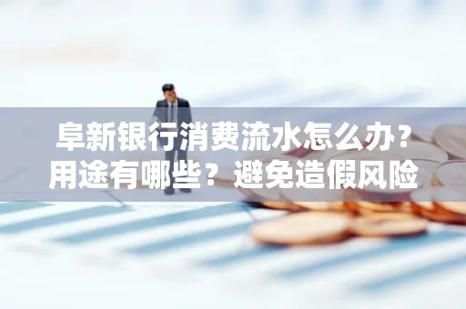 阜新银行消费流水怎么办?用途有哪些?避免造假风险方法