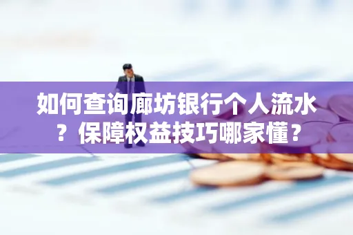 如何查询廊坊银行个人流水?保障权益技巧哪家懂?