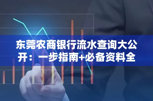 东莞农商银行流水查询大公开:一步指南+必备资料全解读