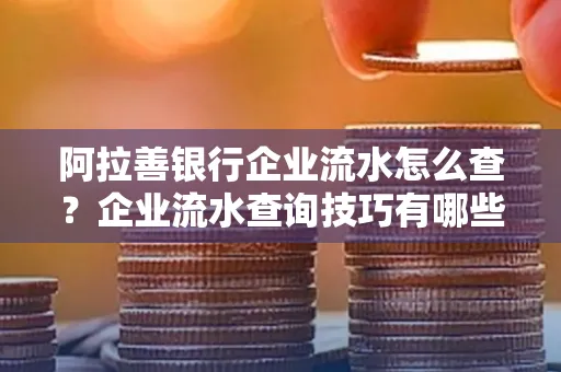 阿拉善银行企业流水怎么查?企业流水查询技巧有哪些?