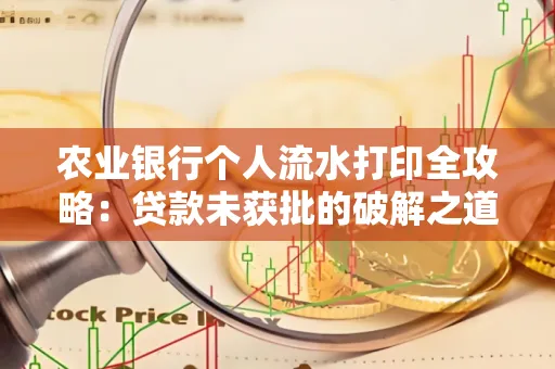 农业银行个人流水打印全攻略:贷款未获批的破解之道