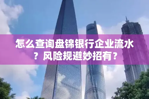 怎么查询盘锦银行企业流水?风险规避妙招有?
