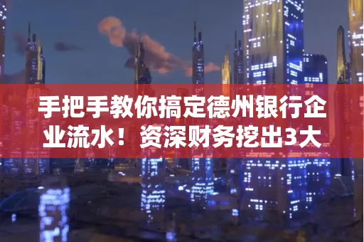 手把手教你搞定德州银行企业流水!资深财务挖出3大隐藏风险点