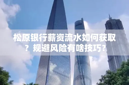松原银行薪资流水如何获取?规避风险有啥技巧?