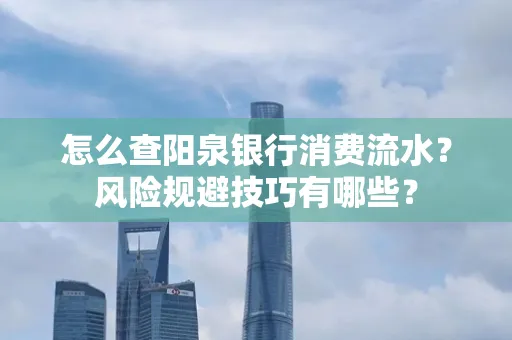 怎么查阳泉银行消费流水?风险规避技巧有哪些?