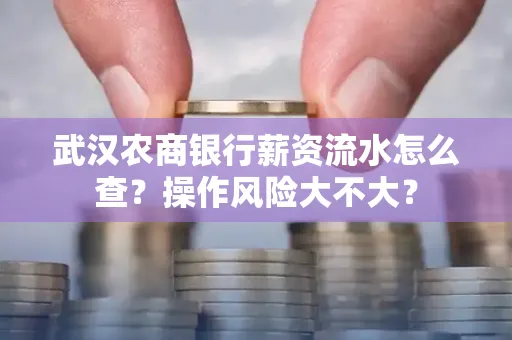 武汉农商银行薪资流水怎么查?操作风险大不大?
