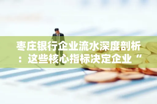 枣庄银行企业流水深度剖析:这些核心指标决定企业“钱袋子”健康度