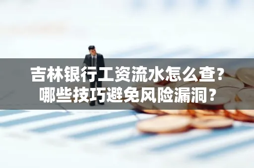 吉林银行工资流水怎么查?哪些技巧避免风险漏洞?