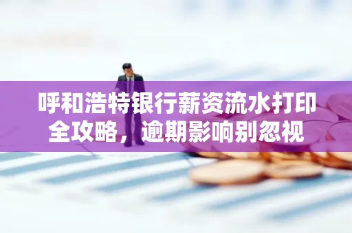 呼和浩特银行薪资流水打印全攻略,逾期影响别忽视