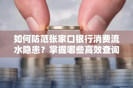 如何防范张家口银行消费流水隐患?掌握哪些高效查询技巧?