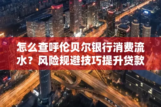 怎么查呼伦贝尔银行消费流水?风险规避技巧提升贷款率?